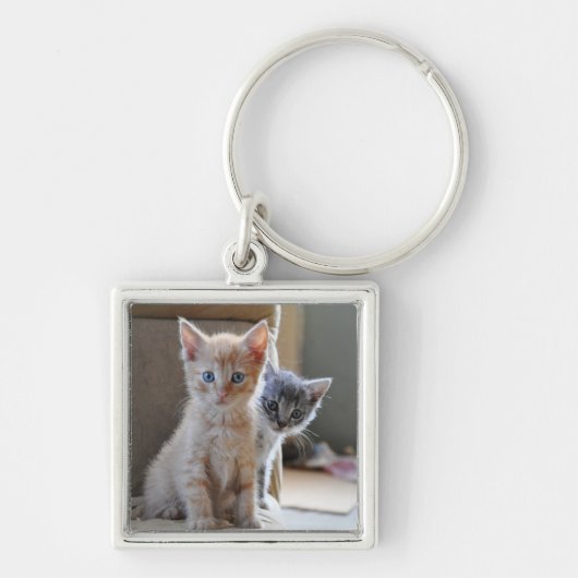 Neugierige Kätzchen Schlüsselanhänger (Vorne)