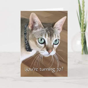 Neugierige Katze 70. Geburtstagskarte Karte