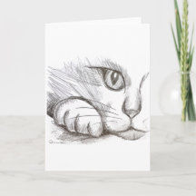 Neugierige Katze Bleistiftzeichnung Grußkarte