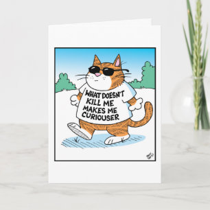 neugierige Katze Karte