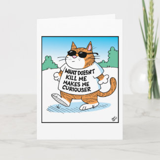 neugierige Katze  Karte