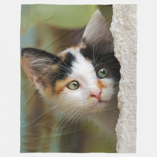 Neugierige Katze Kätzchen mit neugierigen Augen - Fleecedecke (Vorderseite)