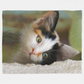 Neugierige Katze Kätzchen mit neugierigen Augen - Fleecedecke (Vorderseite (Horizontal))