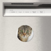 neugierige Katze Magnet (In Situ (Geschirrspüler))