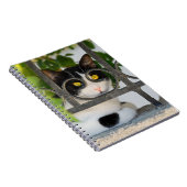 Neugierige Katze mit Spektakeln Bilderrahmen Notizblock (Rechte Seite)