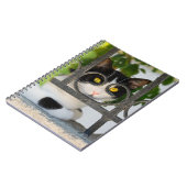 Neugierige Katze mit Spektakeln Bilderrahmen Notizblock (Linke Seite)