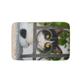 Neugierige Katze mit Spektakeln Funny Funny Klein Badematte (Vorderseite)