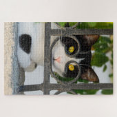 Neugierige Katze mit Spektakeln Rahmen Funny Jigsa Puzzle (Horizontal)