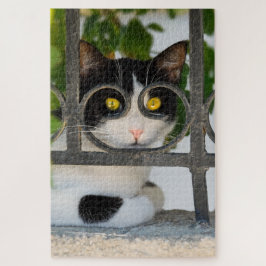 Neugierige Katze mit Spektakeln Rahmen Funny Jigsa Puzzle