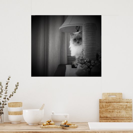 Neugierige Katze, Poster (Küche)