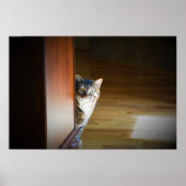 Neugierige Katze, Poster (Vorne)