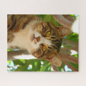 Neugierige Katze Puzzle (Horizontal)