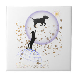 Neugierige Katze und Laufhund Fliese