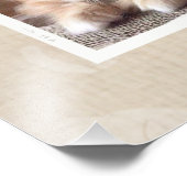 Neugierige Katzen Collage Fotodruck (Ecke)