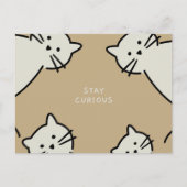 Neugierige Katzen Postkarte (Vorderseite)