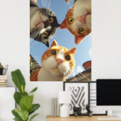 Neugierige Katzen schauen herunter Poster (Heimbüro)