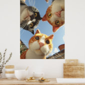 Neugierige Katzen schauen herunter Poster (Küche)