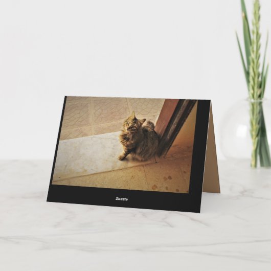 Neugierige Kitty Karte (Rückseite)