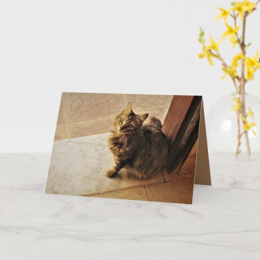 Neugierige Kitty Karte (Gelbe Blume)