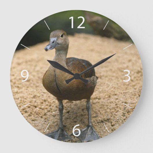 Neugierige kleine Ente Große Wanduhr (Vorderseite)