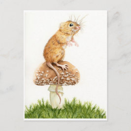 Neugierige kleine Maus auf der Pilzpostkarte Postkarte