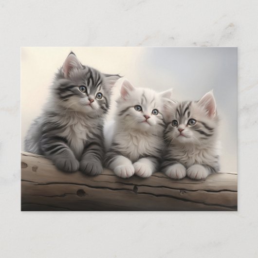 Neugierige Kleine - Niedliche Tabby Kittens Postkarte (Vorderseite)