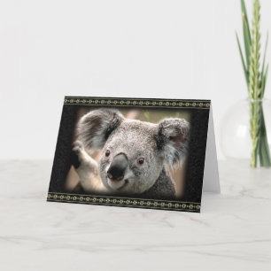 Neugierige Koala-Grußkarte Karte