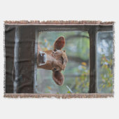 Neugierige Kuh durch ein Fenster schauen Decke (Vorderseite)