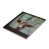 Neugierige Kuh durch ein Fenster schauen Fliese (Seite)