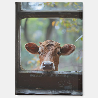 Neugierige Kuh durch ein Fenster schauen Magnet