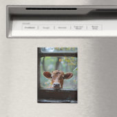 Neugierige Kuh durch ein Fenster schauen Magnet (In Situ (Geschirrspüler))