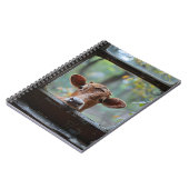 Neugierige Kuh durch ein Fenster schauen Notizblock (Linke Seite)