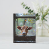 Neugierige Kuh durch ein Fenster schauen Postkarte (Stehend Vorderseite)