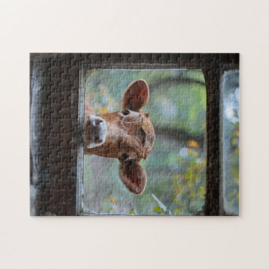 Neugierige Kuh durch ein Fenster schauen Puzzle (Horizontal)