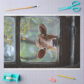 Neugierige Kuh durch eine Fensterdekoupage Seidenpapier (Basteln)