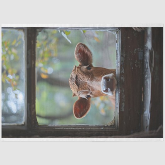 Neugierige Kuh durch eine Fensterdekoupage Seidenpapier (Vorderseite)