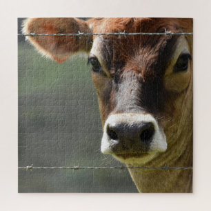 Neugierige Kuh hinter einem Stacheldrahtzaun Puzzle