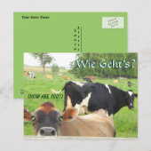 Neugierige Kuh! Pa Niederländisch! Lititz/Lancaste Postkarte (Vorne/Hinten)