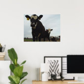 Neugierige Kühe 2 Poster (Heimbüro)