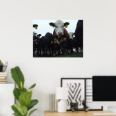 Neugierige Kühe 3 Poster (Heimbüro)