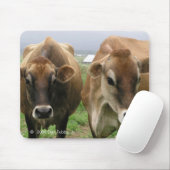 Neugierige Kühe Mousepad (Mit Mouse)