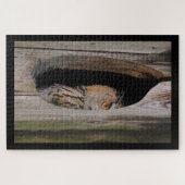 Neugierige Owl Peeking von Zuhause Puzzle (Horizontal)