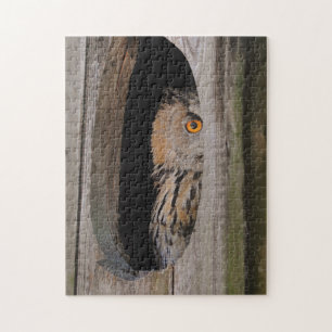 Neugierige Owl Peeking von Zuhause Puzzle