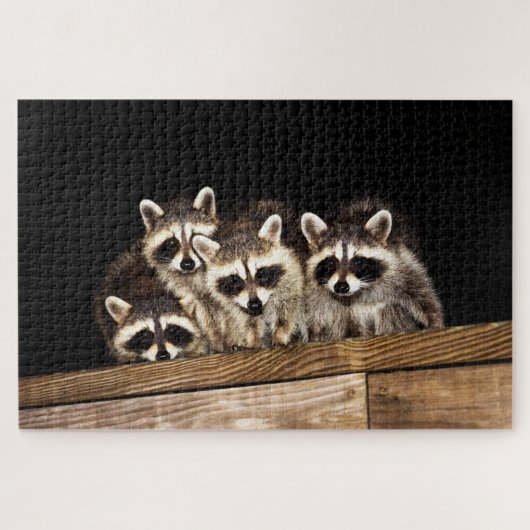 Neugierige Raccoon-Familie, Jigsaw Puzzle (Horizontal)
