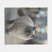 Neugierige Ragdoll-Katzen-Decke Fleecedecke (Vorderseite (Horizontal))