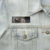 Neugierige Rat Namensschild (Beispiel)