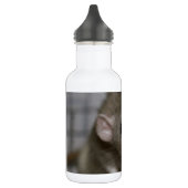 Neugierige Ratte Edelstahlflasche (Links)