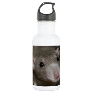 Neugierige Ratte Edelstahlflasche