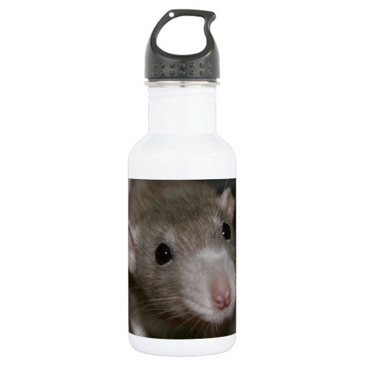 Neugierige Ratte Edelstahlflasche (Vorderseite)