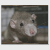 Neugierige Ratte Geschenkpapier (Flach)